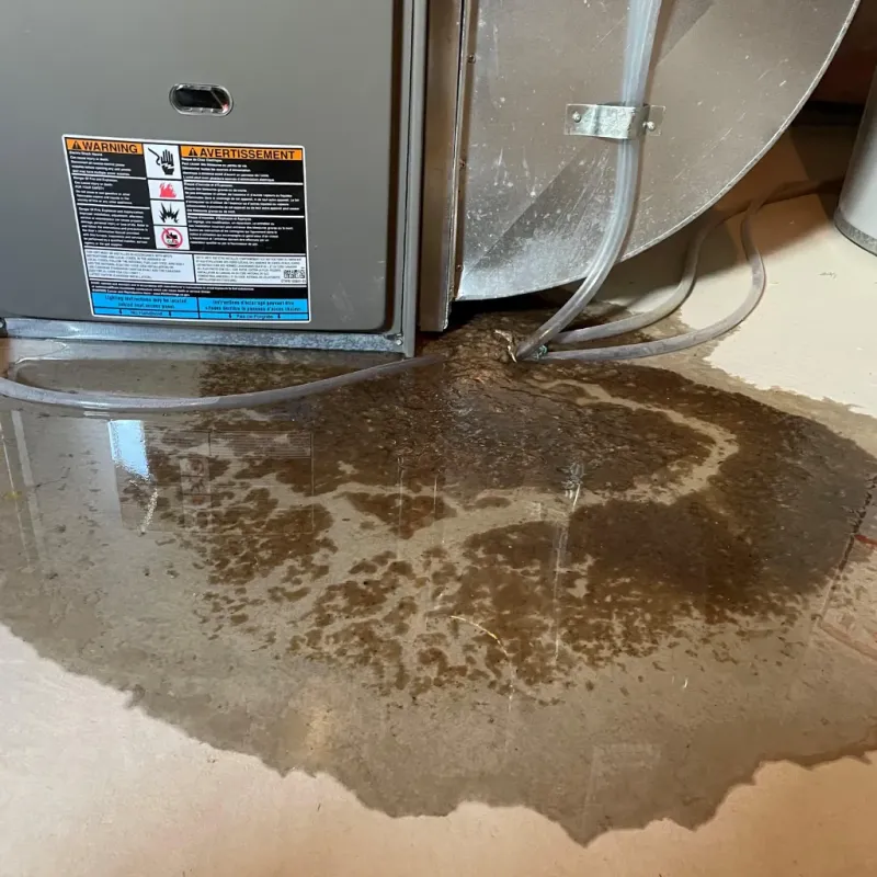 Appliance Leak Cleanup in Saint Joseph, MN